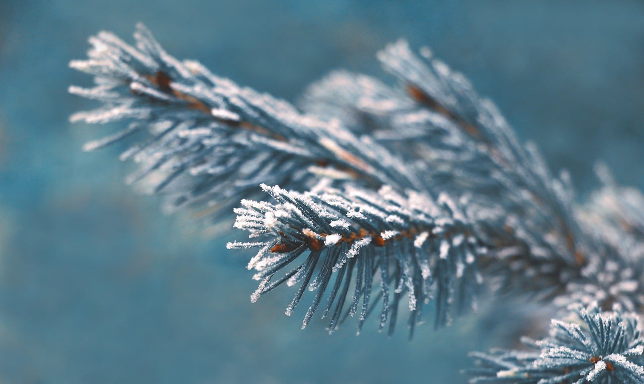 What is rime? How is rime made? | Rime Formation | Geekub.com